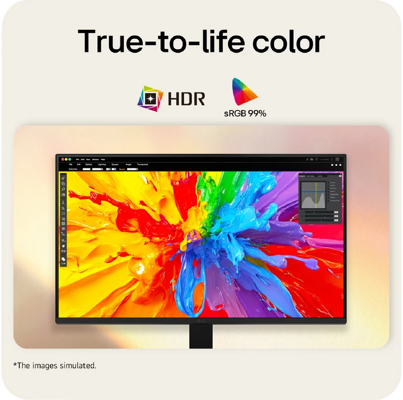 LG 24" FHD IPS Monitor