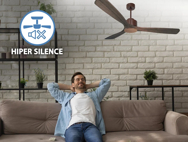 Ventilateur de plafond ultra silencieux et à faible consommation DC MarieD166C0266868