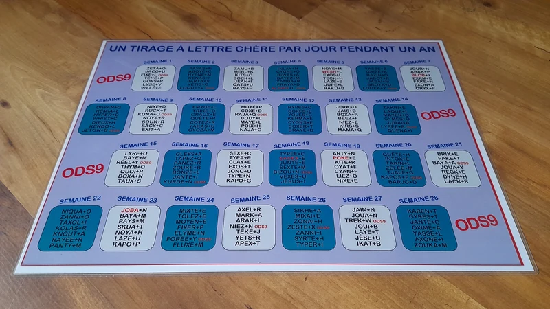 Set de table A3 Tirages à lettres chères ODS 9 pendant un an