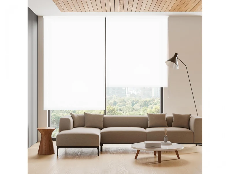 Store enrouleur 80X175 BLANC Fixation au mur ou au plafond