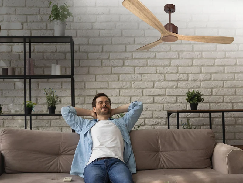 Ventilateur de plafond ultra silencieux et à faible consommation DC MljetD166C0269956