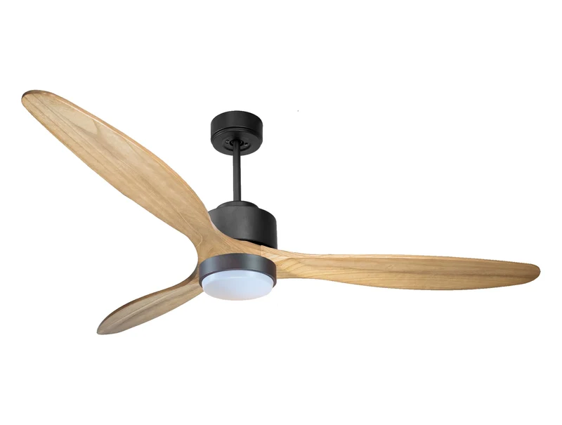 Ventilateur de plafond ultra silencieux et à faible consommation DC RangiroaD166C02LED67392