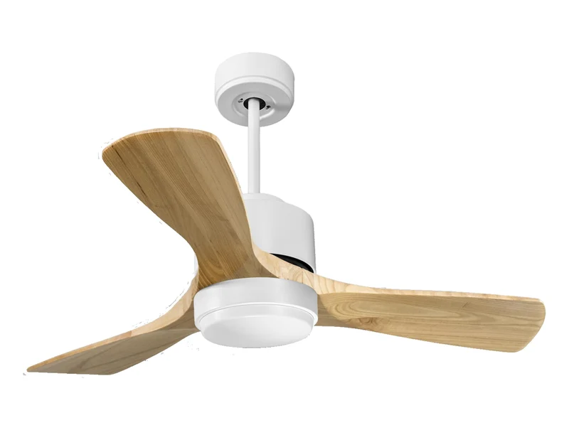 Ventilateur de plafond ultra silencieux et à faible consommation DC RarotongaD106C02LED66276