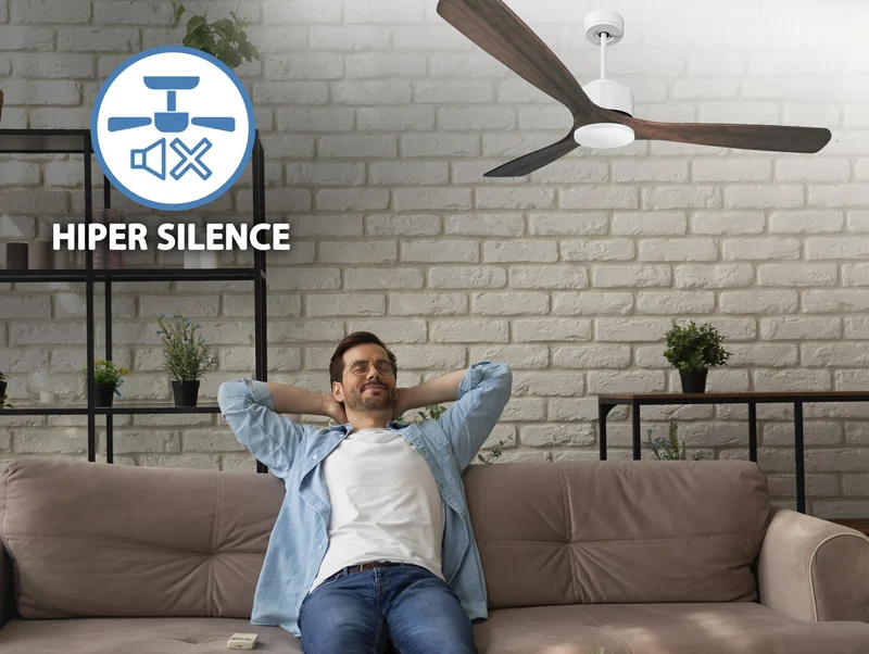 Ventilateur de plafond ultra silencieux et à faible consommation DC MarieD166C0266061