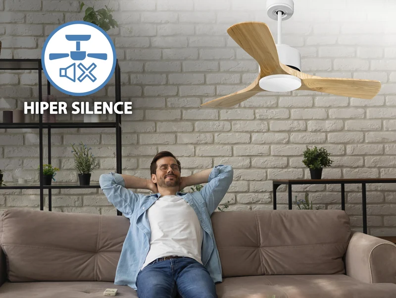 Ventilateur de plafond ultra silencieux et à faible consommation DC RarotongaD106C0266055
