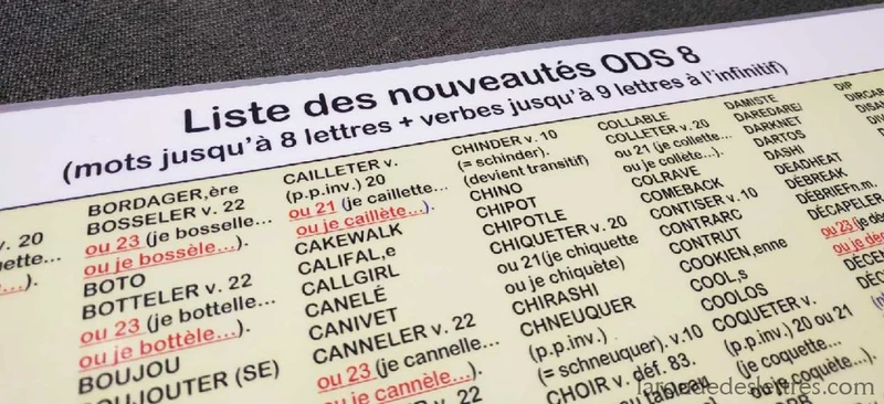 Set de table ODS 8 nouveaux mots intégral-Le Toquin