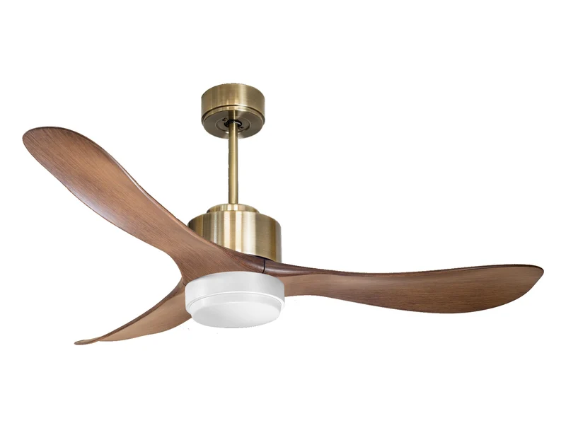 Ventilateur de plafond ultra silencieux et à faible consommation DC TogianD132C02LED68019