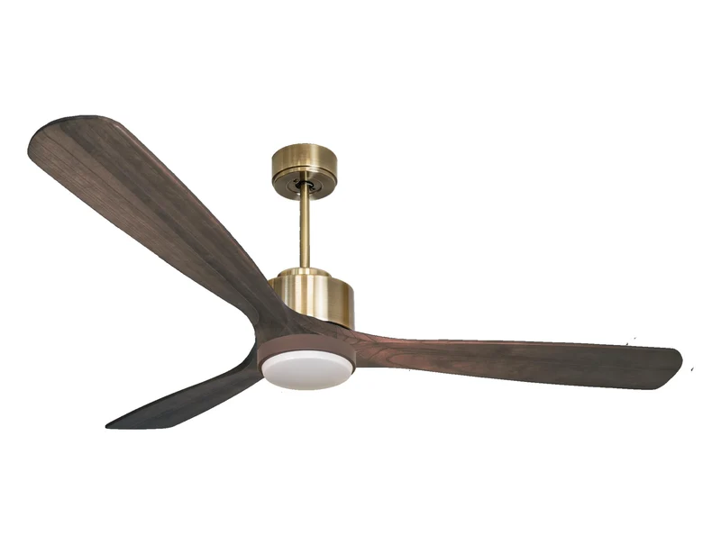 Ventilateur de plafond ultra silencieux et à faible consommation DC MarieD166C02LED65999