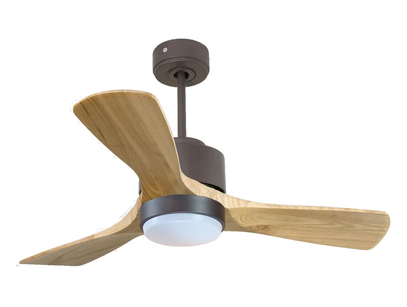 Ventilateur de plafond ultra silencieux et à faible consommation DC RarotongaD106C02LED65592