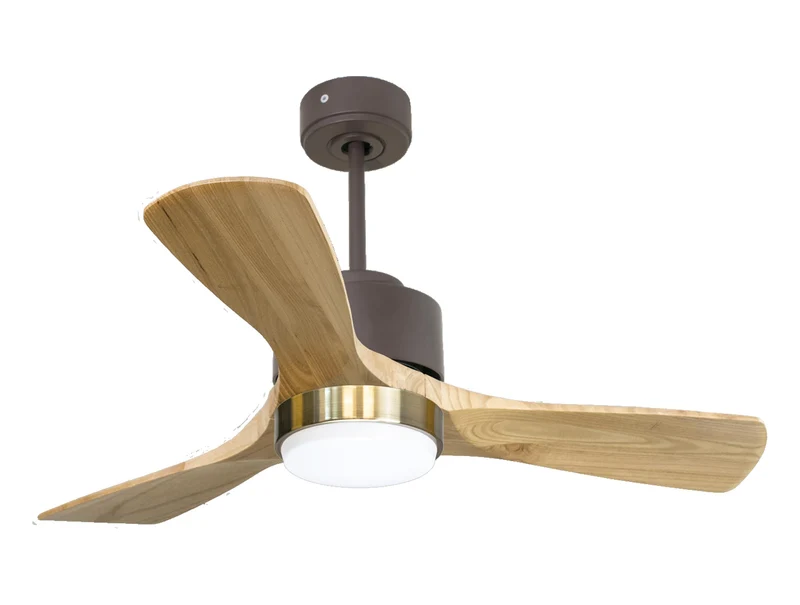 Ventilateur de plafond ultra silencieux et à faible consommation DC RarotongaD106C02LED65591