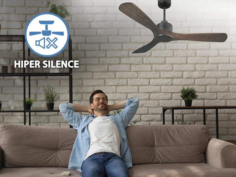Ventilateur de plafond Réversible Thermostat Wifi Moteur à courant continu Toits en pente Télécommande Hypersilence Mémoire
