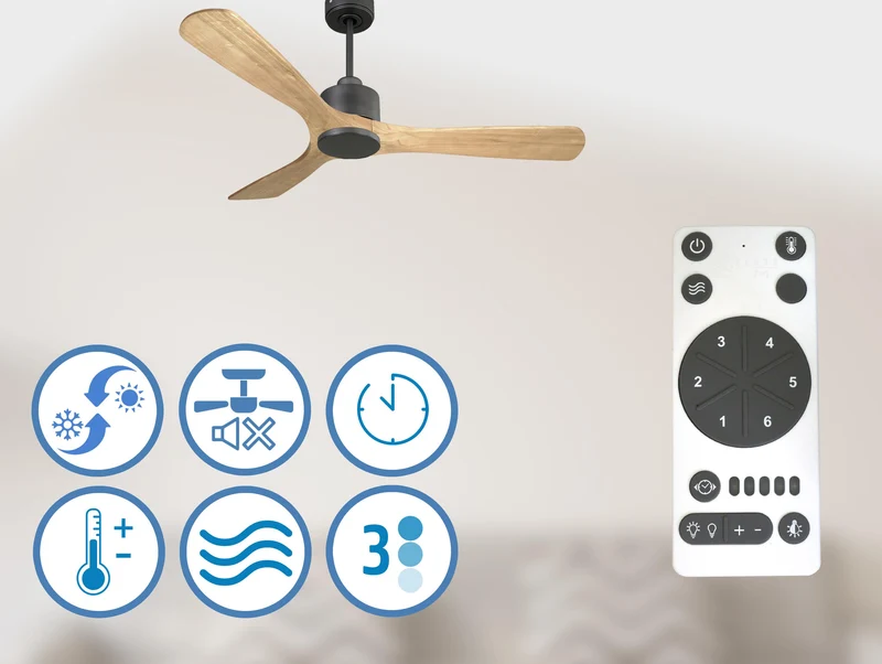 Ventilateur de plafond Réversible Thermostat Wifi Moteur à courant continu Toits en pente Télécommande Hypersilence Mémoire