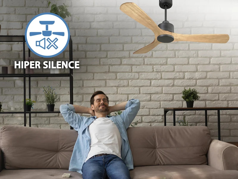 Ventilateur de plafond Réversible Thermostat Wifi Moteur à courant continu Toits en pente Télécommande Hypersilence Mémoire