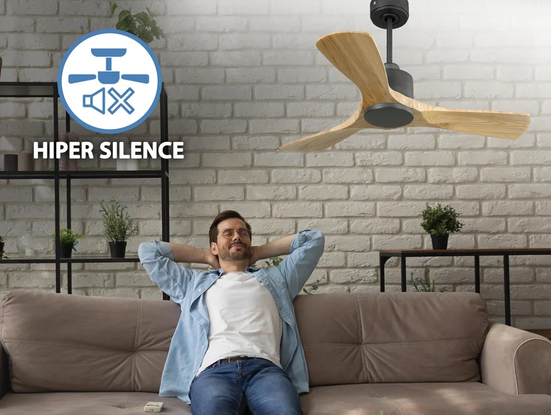 Ventilateur de plafond Réversible Thermostat Wifi Moteur à courant continu Toits en pente Télécommande Hypersilence Mémoire